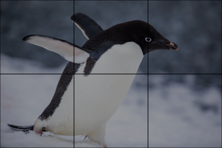 Puzzle pingüí